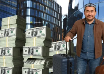 Іноземці в Україні заробляють тисячі доларів ні за що. Схемою користуються політики, чиновники та корпорації