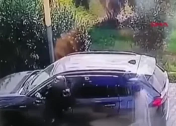 У Туреччині українського туриста засудили на 25 років. Але чому? (ВІДЕО)