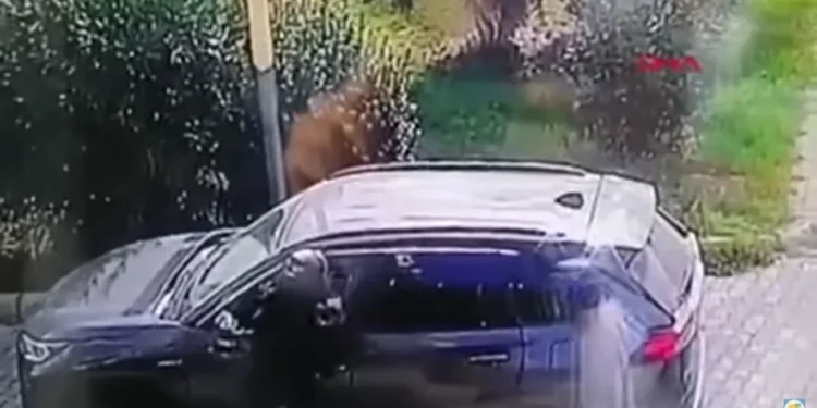 У Туреччині українського туриста засудили на 25 років. Але чому? (ВІДЕО)