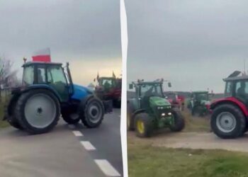 У Польщі почали протестувати фермери. І знов проти імпорту з України