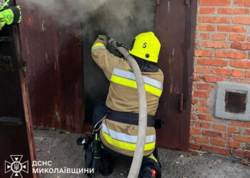 У Миколаєві та області протягом доби загасили 5 незначних пожеж – що горіло (ФОТО)