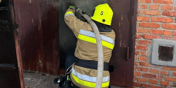 У Миколаєві та області протягом доби загасили 5 незначних пожеж – що горіло (ФОТО)