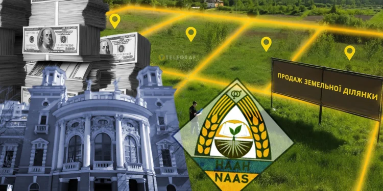 Корупція на державній землі. Справа Чмиря-Гадзало, яка теж нічим не закінчилась