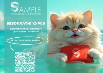 Уперше в Миколаєві – центр SAMPLE проведе курси порятунку котів і собак