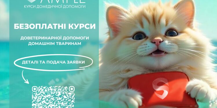 Уперше в Миколаєві – центр SAMPLE проведе курси порятунку котів і собак