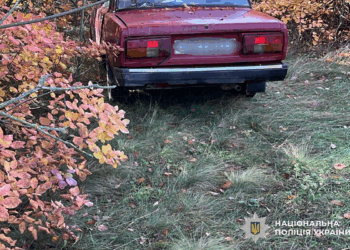 Викрав автівку, щоб розважитись, – на Миколаївщині затримали чоловіка за незаконне заволодіння легковиком (ФОТО)