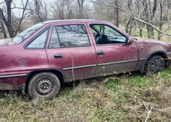 Викрав автівку, щоб покататись по Казанці, – на Миколаївщині викрили молодика (ФОТО)