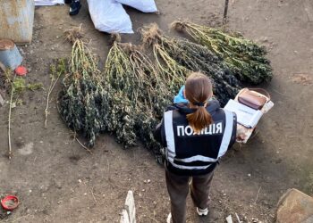 На Миколаївщині вилучили майже 37,6 кг наркоречовини – готового канабісу і коноплі (ФОТО)