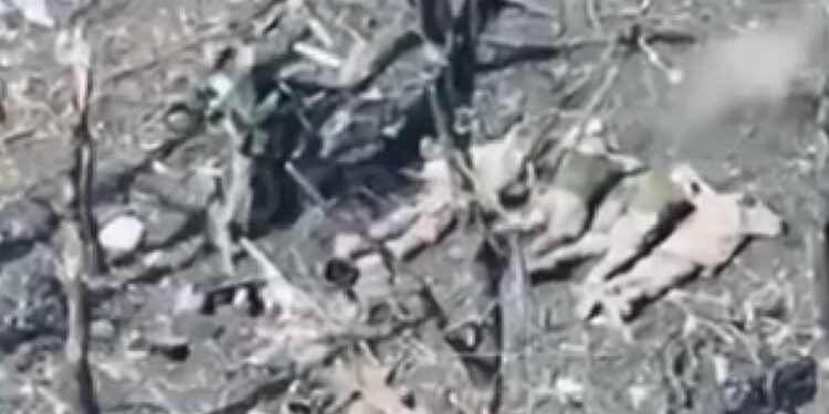 Російські окупанти розстріляли 5 полонених військовослужбовців ЗСУ на Покровському напрямку