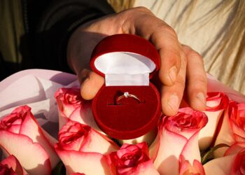 Кохання сильніше за війну: на Миколаївщині захисник-поліцейський освідчився своїй дівчині під час… перевірки документів (ФОТО, ВІДЕО)