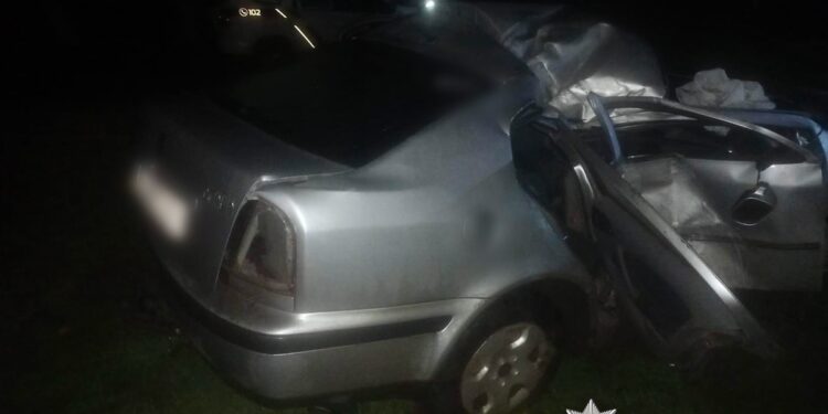 На Миколаївщині 17-річний водій без посвідчення влаштував ДТП зі стовпом – його 20-річний пасажир тепер в лікарні (ФОТО)