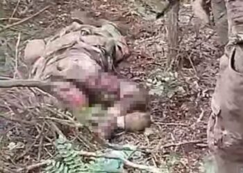 Росіяни побили та розстріляли полоненого біля Покровська