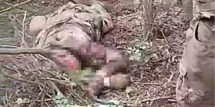 Росіяни побили та розстріляли полоненого біля Покровська