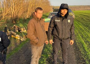 На Миколаївщині затримали чоловіка, який незаконною порубкою завдав збитків довкіллю на понад 300 тис.грн. (ФОТО)