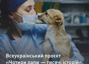 У Миколаєві експонуватиметься фотовиставка «Чотири лапи – тисячі історій»