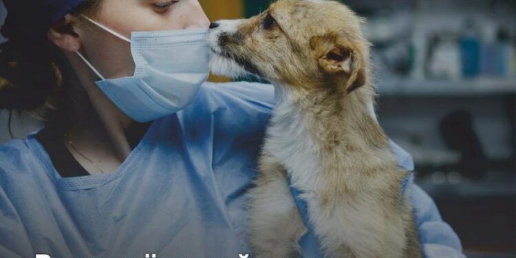 У Миколаєві експонуватиметься фотовиставка «Чотири лапи – тисячі історій»