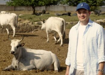 На Херсонщині фермер продає корів через TikTok. І добре виходить (ФОТО)