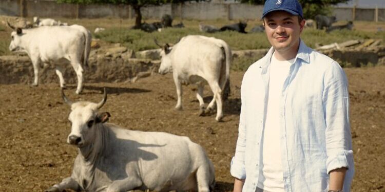 На Херсонщині фермер продає корів через TikTok. І добре виходить (ФОТО)