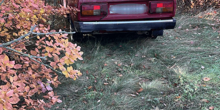 Викрав автівку, щоб розважитись, – на Миколаївщині затримали чоловіка за незаконне заволодіння легковиком (ФОТО)