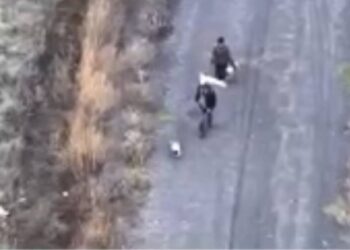 Окупанти розстріляли двох мирних людей на Харківщині, які йшли з білим прапором, та їхнього собаку (ФОТО)