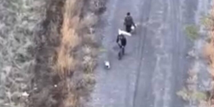 Окупанти розстріляли двох мирних людей на Харківщині, які йшли з білим прапором, та їхнього собаку (ФОТО)