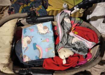 В Миколаєві у неадекватної мамаші забрали 3 малолітніх дітей – вона перетворила їх життя на жах (ФОТО)