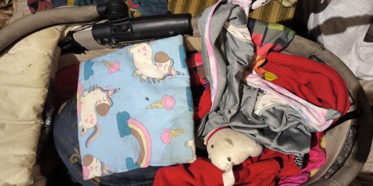 В Миколаєві у неадекватної мамаші забрали 3 малолітніх дітей – вона перетворила їх життя на жах (ФОТО)