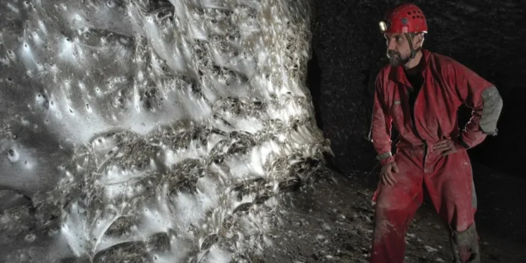 Жах з печери. На кордоні Греції та Албанії знайшли найбільшу у світі колонію павуків (ФОТО)