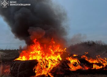 Минулої доби на Миколаївщині ліквідовано дві пожежі