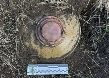 Там, де на Миколаївщині підірвався трактор, поліцейські вибухотехніки знайшли ще одну міну (ФОТО, ВІДЕО)