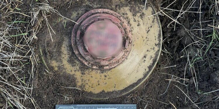 Там, де на Миколаївщині підірвався трактор, поліцейські вибухотехніки знайшли ще одну міну (ФОТО, ВІДЕО)