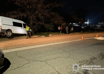 Ще одна вечірня ДТП на Миколаївщині – під колесами автівки в Новій Одесі загинула жінка (ФОТО)