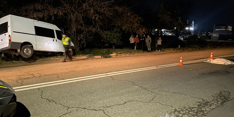 Ще одна вечірня ДТП на Миколаївщині – під колесами автівки в Новій Одесі загинула жінка (ФОТО)