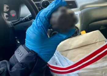 На Миколаївщині пенсіонера викрили на збуті боєприпасів (ФОТО)