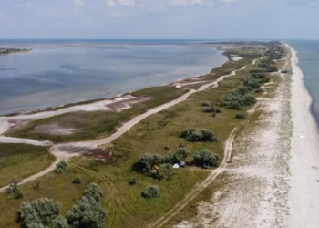 На Кінбурнській косі деякі ділянки вигорали по вісім разів, а Великий Луг відновився, – еколог (ФОТО)