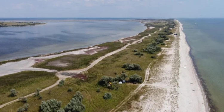 На Кінбурнській косі деякі ділянки вигорали по вісім разів, а Великий Луг відновився, – еколог (ФОТО)