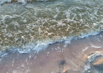 Таємниця «чорної плівки» на Намиві в Миколаєві так і не розкрита (ФОТО)