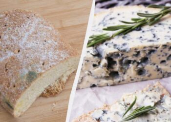 Економія без шкоди для себе. Що робити із пліснявою на продуктах