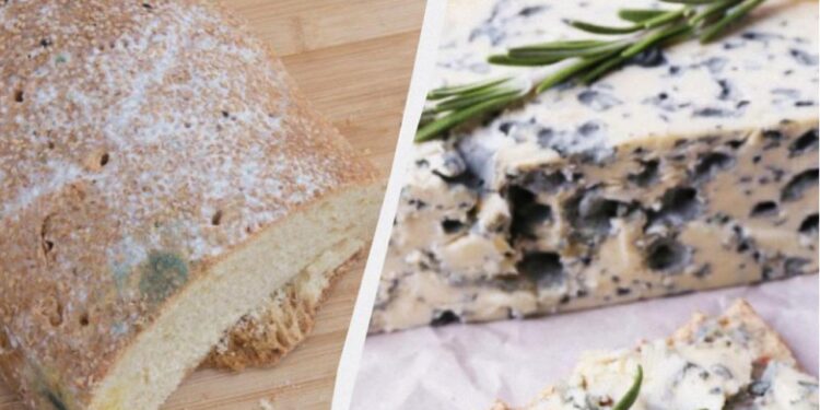 Економія без шкоди для себе. Що робити із пліснявою на продуктах