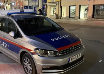  У Відні в згорілій машині знайшли вбитого українця