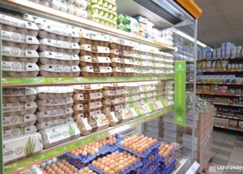 У Європі в українських яйцях виявили залишки антибіотиків. Виробник всім відомий (ФОТО)