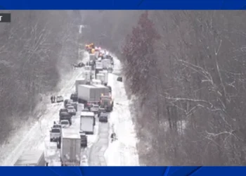 У США випав сніг – в Індіані в ДТП попали одразу близько 50 авто (ВІДЕО)