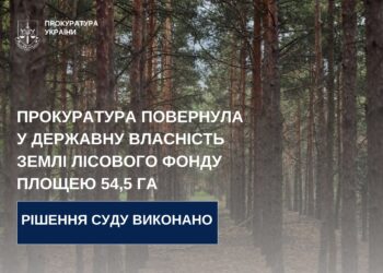 На Миколаївщині прокуратура повернула у державну власність землі лісового фонду площею 54,5 га