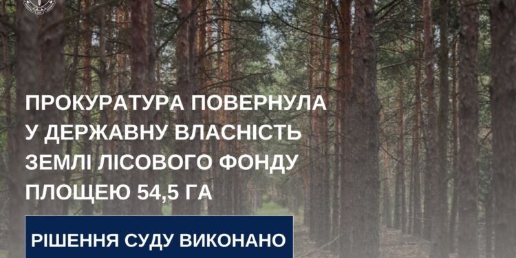 На Миколаївщині прокуратура повернула у державну власність землі лісового фонду площею 54,5 га
