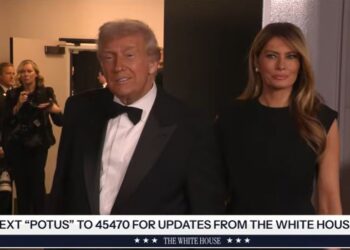 Трамп заявив, що розчарований Зеленським, який ще не читав його мирного плану (ВІДЕО)