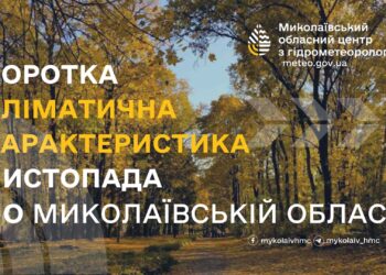 Листопад на Миколаївщині був аномально теплим та вологим – гідрометцентр