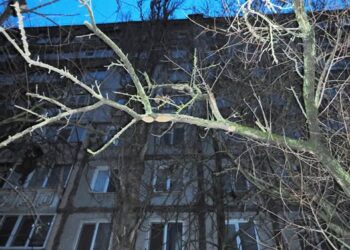 19-річна дівчина, яка загинула 10 грудня, була невільницею? У Миколаєві затримали 24-річного господаря квартири