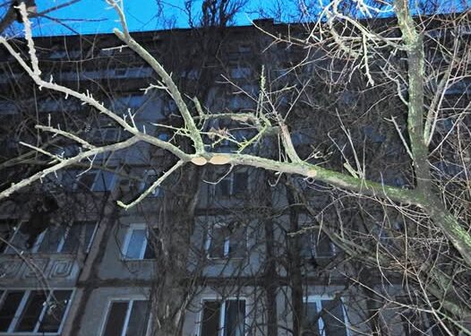 19-річна дівчина, яка загинула 10 грудня, була невільницею? У Миколаєві затримали 24-річного господаря квартири