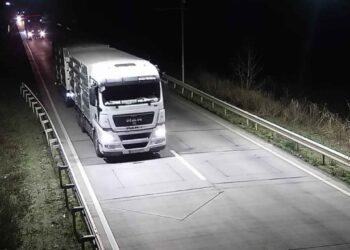 WIM-комплекс на Миколаївщині зафіксував порушення – за перевантаження фури перевізник сплатить 34 тис. грн.