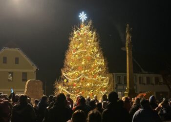 Різдвяна ялинка в містечку Новий Градек внесена в чеську Книгу рекордів – вона без хвої